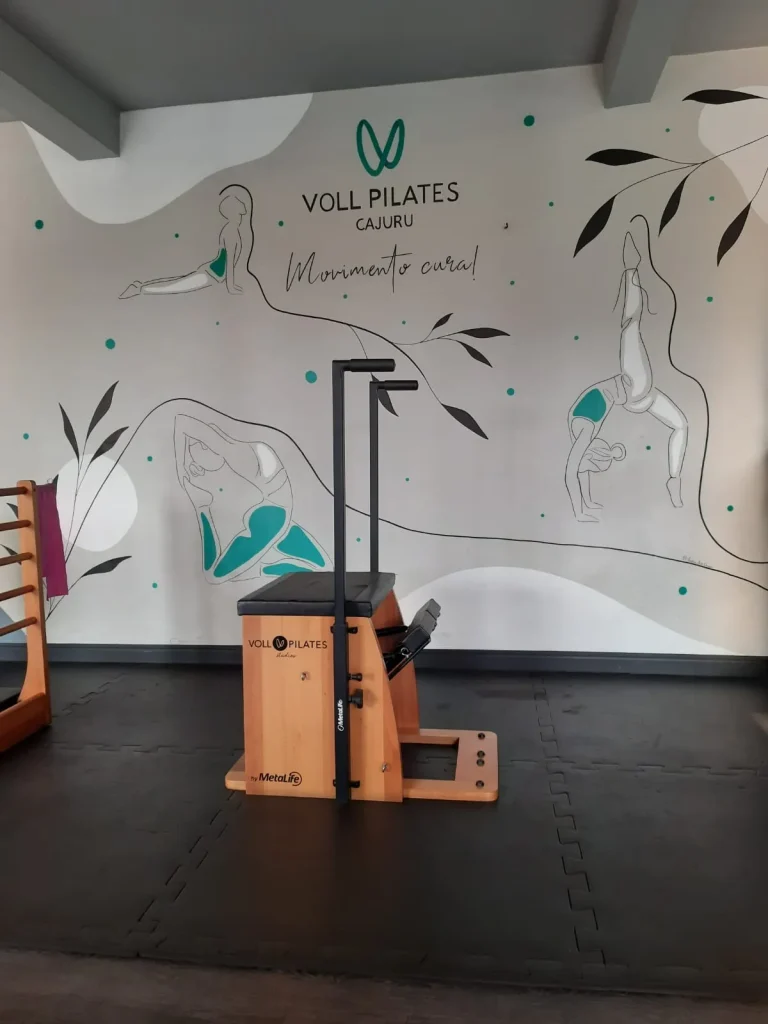 IMG-20250214-WA0014 - Aninha Spiassi